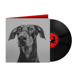POSTINDUSTRIAL HOMETOWN BLUES: Vinyl LP
